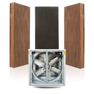 tấm làm mát cooling pad kết hợp với quạt công nghiệp