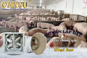 Quạt thông gió cho trại lợn