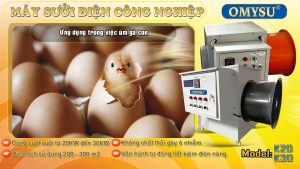 máy sưởi công nghiệp ứng dụng trong việc úm gà con