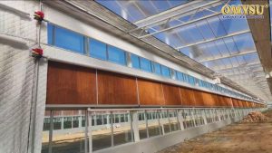 hệ thống làm mát bằng cooling pad